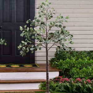 Indoor/Outdoor Electric Lighted Eucalyptus Trees