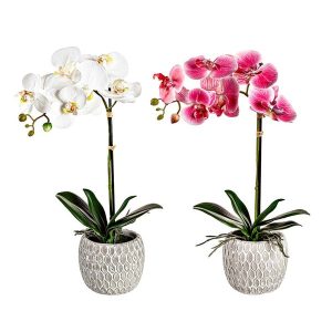 18" Faux Orchid in Ceramic Planter, Set of 2