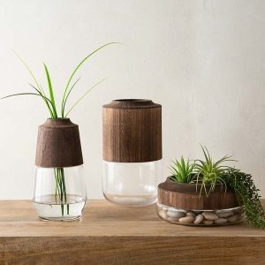 Modern Wood Topped Glass Terrarium