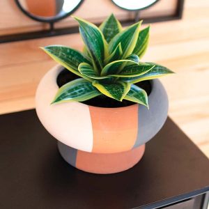 Clay Striped Round Planter with Base