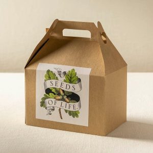 Oak Tree Growing Kit