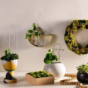 Hanging Propagation Planter
