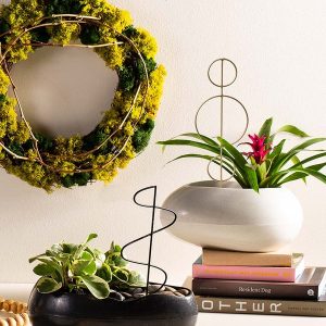 Mini Trellis Plant Sticks, Small - Black Spindle