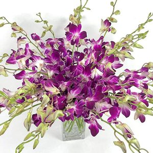 Large Orchid Bunch in Glass Vase - Purple