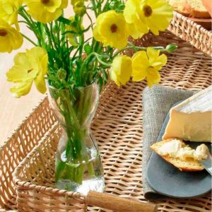 Glass Forcing Bulb Vase Collection
