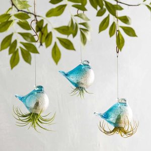 Glass Hanging Bird Airplant Holders, Set of 3 - Blue