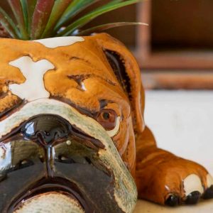 Ceramic Bulldog Planter