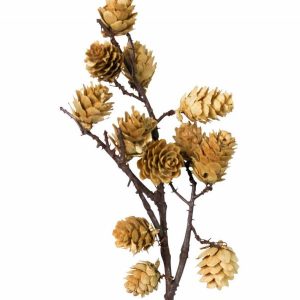 Mini-Pinecone Stems, Set of 2