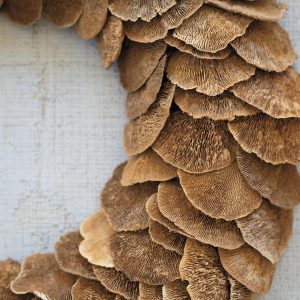 Dried Mushroom Wreath