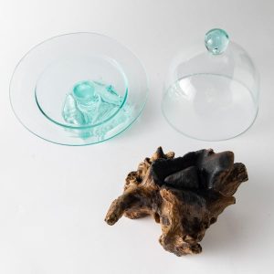 Artisan-Poured Glass Cloche