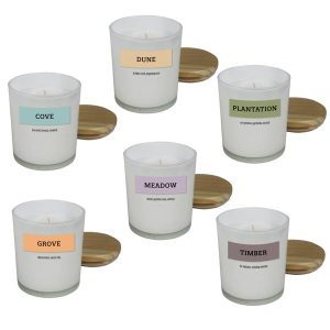 Element Candle Collection - Timber