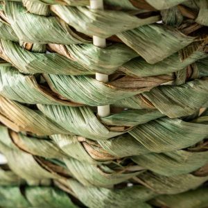 Woven Palm Plant